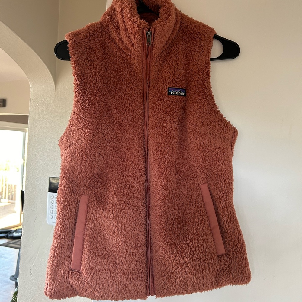 Patagonia vest